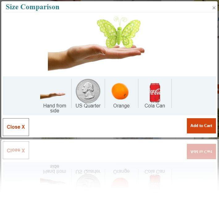 Butterfly compared to human hand